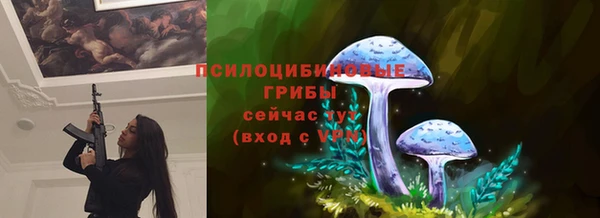 не бодяженный Богородицк