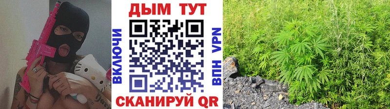 продажа наркотиков  Велиж  Бошки Шишки семена 